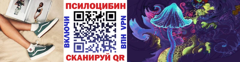 Купить где  Канск  Галлюциногенные грибы Cubensis 